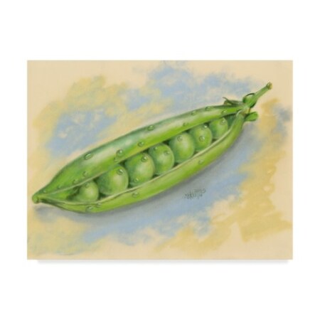 Barbara Keith 'Sugar Snap Peas' Canvas Art,18x24